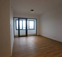 1-izb. byt v novostavbe v Ružinove, 4p./10 - Priestranná miestnosť s podlahou s dreveným dekorom a presklenými dverami v 1-izbovom byte.