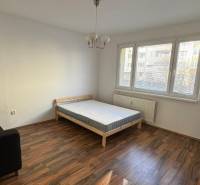 1-izb. byt, J.Stanislava, Karlova Ves, lodžia, 3.p./8 - Jednoizbový byt s rozkladacím gaučom, posteľou a podlahou s dreveným dekorom.