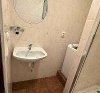 1-izb. byt, J.Stanislava, Karlova Ves, lodžia, 3.p./8 - Kúpeľňa s umývadlom, zrkadlom a sprchovým kútom v 1-izbovom byte.