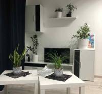 1,5 izb. byt s predzáhradkou, Podunajské Biskupice, projekt Oppidum - Obývacia izba v 2-izbovom byte so stolmi, rastlinami a podlahou s dreveným dekorom.