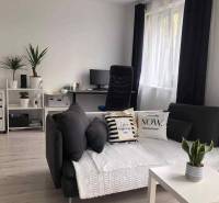 1,5 izb. byt s predzáhradkou, Podunajské Biskupice, projekt Oppidum - Obývacia izba v 2-izbovom byte s tmavými závesmi a dekoratívnymi vankúšmi.