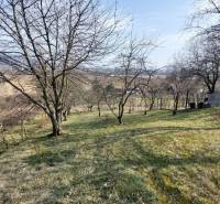 PREDAJ - VINICA - ZLATÉ MORAVCE - Vinice v Zlatých Moravciach s výhľadom, stromy a trávnatý pozemok.