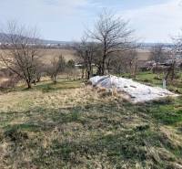 PREDAJ - VINICA - ZLATÉ MORAVCE - Rozľahlé vinice pri Zlatých Moravciach so stromami a výhľadom na polia a hory.