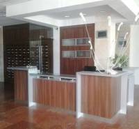 Kancelárie, Drieňová ul., Ružinov 25 m2 - Recepčný pult v kancelárii s drevenými detailmi a moderným osvetlením.