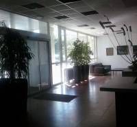 Kancelárie, Drieňová ul., Ružinov 25 m2 - Vstupná hala s pohovkami a rastlinami v kanceláriách na Drieňovej v Bratislave - Ružinove.
