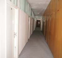 Kancelárie, Drieňová ul., Ružinov 25 m2 - Úzky chodba s kobercovým povrchom, biele a drevené steny, dvere po stranách.