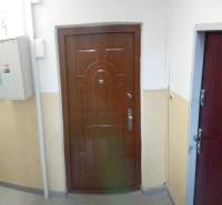 2-izb. byt pri Račianskom Mýte, balkón, 5.p./11 - Vchodové dvere 2-izbového bytu s hnedým dekorom v bytovom dome.