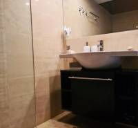 5-izb. dvojpodlažný rodinný dom, Rovinka - Kúpeľňa v rodinnom dome s umývadlom, skrinkou, zrkadlom a červeným kobercom.