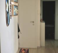 Veľký 2-izb. byt v tehlovom dome, Ružová dolina, Ružinov časť Nivy - Chodba v 2-izbovom byte s umením na stenách a podlahou s dreveným dekorom.