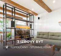 3 IZBOVÝ BYT PRI MESTSKOM PARKU | TOPOĽČANY - Obývacia izba s podlahou s dreveným dekorom a trámami v 3-izbovom byte.