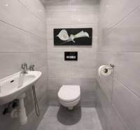 EXKLUZÍVNY 3-IZBOVÝ BYT V SÚKROMNOM KOMPLEXE |2x PARKING | NA PIESKU,  - Toaleta so závesnou misou a umývadlom v 3-izbovom byte.