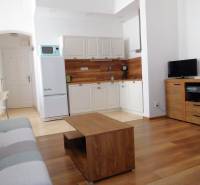 Predaj - štýlový 1,5i byt  v srdci Starého Mesta - Marianska, BA - Obývacia izba s kuchynským kútom v 2-izbovom byte s podlahou s dreveným dekorom.