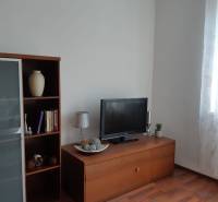 3 izb. byt v úplnom centre pri Šafárikovom námestí - Obývačka s podlahou s dreveným dekorom, knižnicou, televízorom a dekoratívnymi predmetmi.