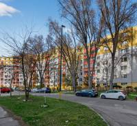 Ponúka na predaj 4 izb. byt na ul. Ševčenkova v Petržalke - Panelák na Ševčenkovej ulici v Petržalke, Bratislava, s autami na parkovisku.