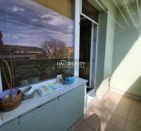 Predaj, trojizbový byt Partizánske, Šípok - EXKLUZÍV... - Balkón 3-izbového bytu s kvetináčmi a výhľadom na mesto Partizánske.