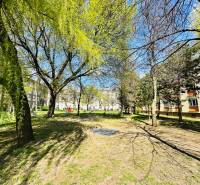 (81 m²) ŠTÝLOVÝ 3i BYT NA SEVERE - Parková plocha s detským ihriskom pri 3-izbovom byte na Obrancov mieru v Košiciach.