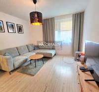 Predaj, dvojizbový byt Bratislava Podunajské Biskupi... - Obývačka v 2-izbovom byte s podlahou s dreveným dekorom a pohodlnou sedacou súpravou.