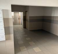 4 Izbový byt na Kríkovej ulici na predaj - Vstupná hala bytového domu na Kríkovej ulici v Bratislave - Vrakuňa.