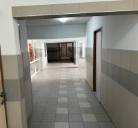 4 Izbový byt na Kríkovej ulici na predaj - Chodba s keramickou dlažbou a obkladmi v 4-izbovom byte.