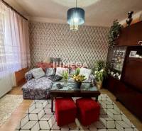 Na predaj 2 izbový byt  na Sokolovskej ulici v meste Humenné - Obývačka v 2-izbovom byte s pohovkou, moderný koberec, rastliny a luster.