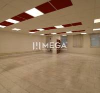 PRENÁJOM obchodného priestoru v OD LABOREC v meste Humenné - Priestranné obchodné priestory s dlažbou a kazetovým stropom.