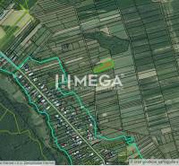 PREDAJ POZEMKU Zemplínske Hámre (2918 m2) - Plán pozemkov na bývanie v Zemplínskych Hámroch s vyznačenými hranicami parciel.