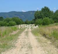 PREDAJ POZEMKU Zemplínske Hámre (2918 m2) - Príroda v Zemplínskych Hámroch pre Pozemky – bývanie, s poľnou cestou a horami.