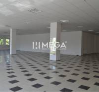 PRENÁJOM-Obchodný priestor v centre mesta Humenné-420m2 - Rozľahlé obchodné priestory s kachličkovou podlahou a stĺpmi poskytujú množstvo možností využitia.