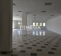 PRENÁJOM-Obchodný priestor v centre mesta Humenné-420m2 - Priestranné obchodné priestory s veľkými oknami a dlažbou na podlahe.