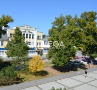 PRENÁJOM-Obchodný priestor v centre mesta Humenné-420m2 - Budova a stromy na námestí slobody v Humennom, obklopujúce obchodné priestory.