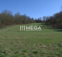 ZNÍŽENIE CENY-PREDAJ VEĽKÉHO POZEMKU (7.048 m2) v  obci Tovarnianska P - Záber na trávnaté pozemky v Tovarnianskej Polianke obklopené stromami pre bývanie.