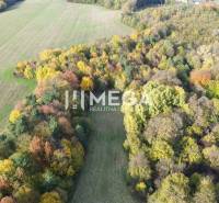 Predaj investičného pozemku v obci Jasenov - Letecký pohľad na farebný les a pole počas jesene v meste Jasenov.