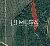 Predaj investičného pozemku v obci Jasenov - Letecký pohľad na Zvláštne nehnuteľnosti v Jasenove, s vyznačeným pozemkom v červenom poli.