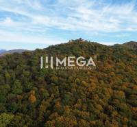 Predaj investičného pozemku v obci Jasenov - Pohľad na zalesnené vrchy s ruinou hradu v Jasenove v časti Zvláštne nehnuteľnosti.