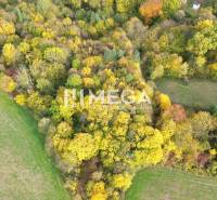 Predaj investičného pozemku v obci Jasenov - Letecký pohľad na lesný porast počas jesene v obci Jasenov, v oblasti Zvláštne nehnuteľnosti.