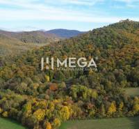 Predaj investičného pozemku v obci Jasenov - Kopcovitá krajina v Jasenove s farebnými stromami a lúkami, Zvláštne nehnuteľnosti.