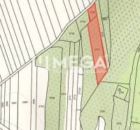 Predaj investičného pozemku v obci Jasenov - Mapa pozemkov v Jasenove zobrazuje parcelu určenú na Zvláštne nehnuteľnosti.