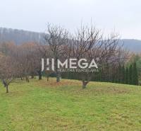 EXKLUZÍVNE NA PREDAJ Chata bez nutnosti investícií - VINNÉ - Záhrada v dedine Vinné s ovocnými stromami, ihličnanmi a výhľadom na svahovitý pozemok.