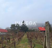 EXKLUZÍVNE NA PREDAJ Chata bez nutnosti investícií - VINNÉ - Vinica s chatou na Vinnom, na ulici Vinné, obklopená viničmi.