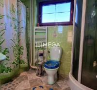 SKVELÁ CENA - výnimočný  rodinný dom, Kamenica nad Cirochou - Kúpeľňa v rodinnom dome s toaletou, sprchou a zelenou dlažbou.