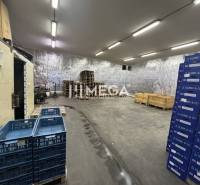 NA PREDAJ: OBJEKT VHODNÝ NA PODNIKANIE-SKLADOVANIE A SLUŽBY - Sklady a haly s úložnými boxmi a paletami na betónovej podlahe, Košice IV.