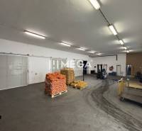 NA PREDAJ: OBJEKT VHODNÝ NA PODNIKANIE-SKLADOVANIE A SLUŽBY - Interiér skladu s paletami cibule a manipulačným zariadením v skladoch a halách.