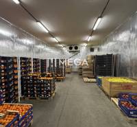 NA PREDAJ: OBJEKT VHODNÝ NA PODNIKANIE-SKLADOVANIE A SLUŽBY - Sklady a haly plné ovocia v prepravkách s osvetlením na strope.