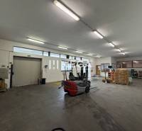 NA PREDAJ: OBJEKT VHODNÝ NA PODNIKANIE-SKLADOVANIE A SLUŽBY - Priemyselný sklad s vysokozdvižným vozíkom a paletami, časť Sklady a haly.