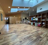 NA PREDAJ: OBJEKT VHODNÝ NA PODNIKANIE-SKLADOVANIE A SLUŽBY - Interiér s podlahou s dreveným dekorom, regály a cvičebné pomôcky v Skladoch a halách.