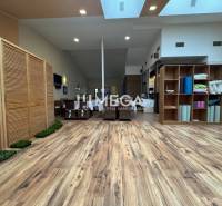 NA PREDAJ: OBJEKT VHODNÝ NA PODNIKANIE-SKLADOVANIE A SLUŽBY - Sklady a haly s podlahou s dreveným dekorom, policami a ratanovým nábytkom.