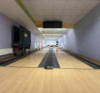 NA PREDAJ: OBJEKT VHODNÝ NA PODNIKANIE-SKLADOVANIE A SLUŽBY - Bowlingová dráha s podlahou s dreveným dekorom, súčasť interiéru Sklady a haly.