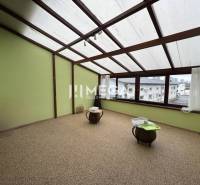 NA PREDAJ: OBJEKT VHODNÝ NA PODNIKANIE-SKLADOVANIE A SLUŽBY - Priestranná miestnosť so zelenými stenami a veľkými oknami v skladovaní a hale.