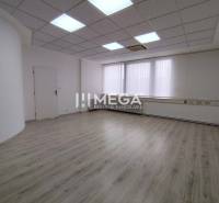 NA PRENÁJOM - kancelárske priestory v cente mesta Michalovce - Kancelárie s podlahou s dreveným dekorom a stropným osvetlením.