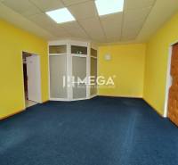 NA PRENÁJOM - kancelárske priestory v cente mesta Michalovce - Žlté steny, modrý koberec v kancelárii, predeľovacie sklo, dve dvere.